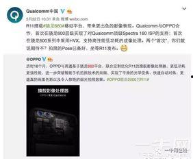 内鬼爆料对话大全视频,揭秘对话大全视频背后的惊人真相  第2张